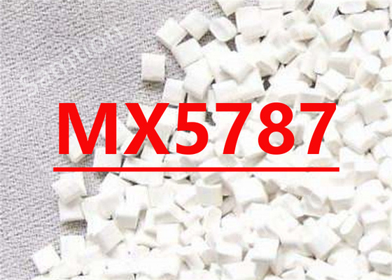S-Plastic Noryl MX5787 DATI PRIMARI PPE rinforzato in vetro/carbonio al 19,5%